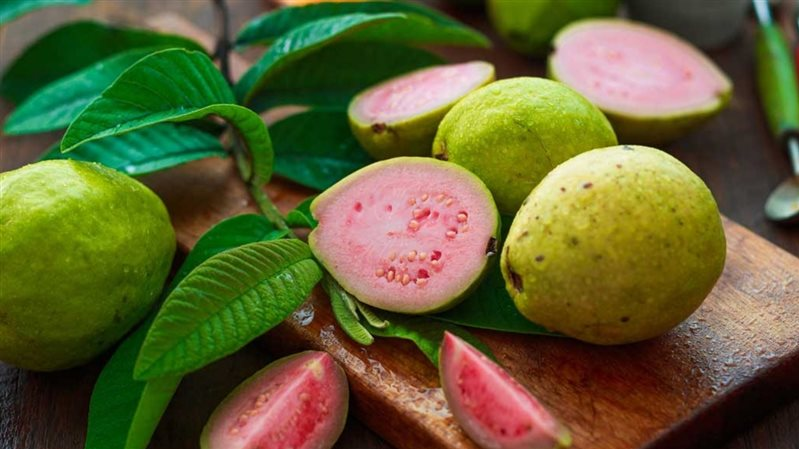 स्वादिष्ट भोजन, स्वस्थ आहार, संतुलित आहार, ऊर्जा का स्रोत, रोग प्रतिरोधक क्षमता, वजन नियंत्रण, मानसिक स्वास्थ्य